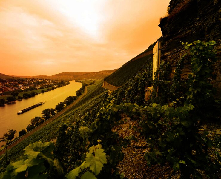 Weinlage Brauneberger Juffer