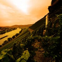 Weinlage Brauneberger Juffer