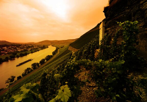 Weinlage Brauneberger Juffer