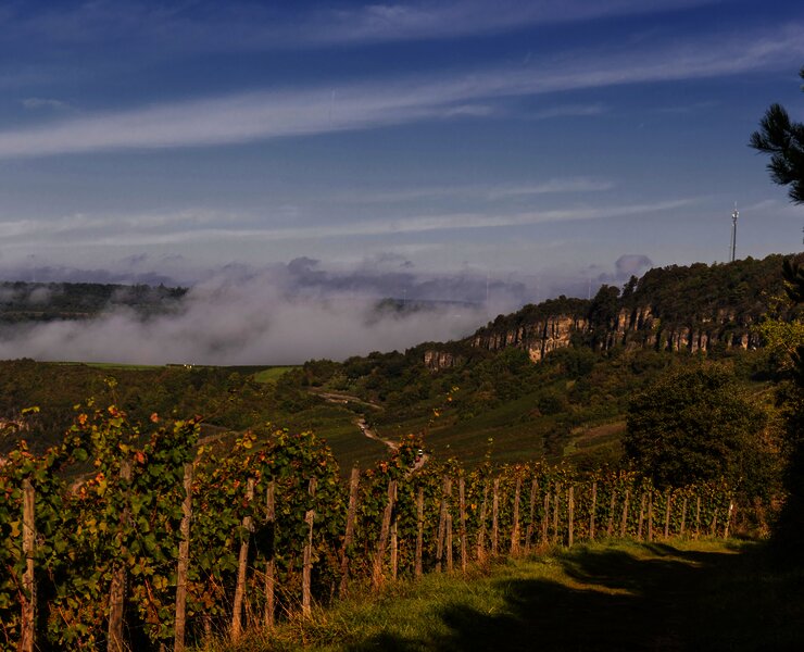 Blick aus den Weinbergen auf Nitteler Felsen