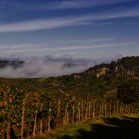 Blick aus den Weinbergen auf Nitteler Felsen
