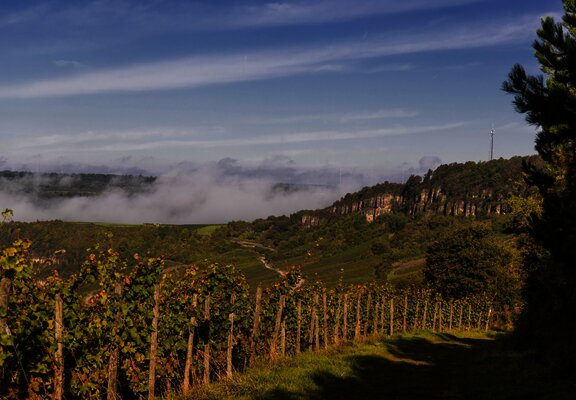 Blick aus den Weinbergen auf Nitteler Felsen