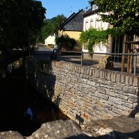Der Fronbach in Burgen