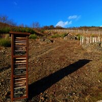 Insektenhotels als Lebensraumhilfen
