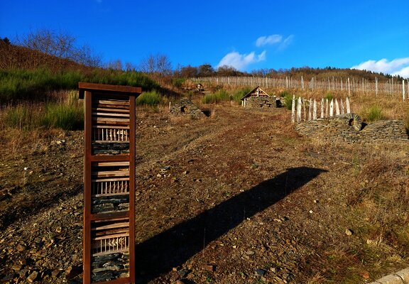 Insektenhotels als Lebensraumhilfen