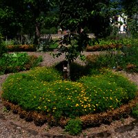 Blumenbeet
