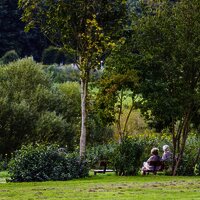 Am Moselufer in Zeltingen