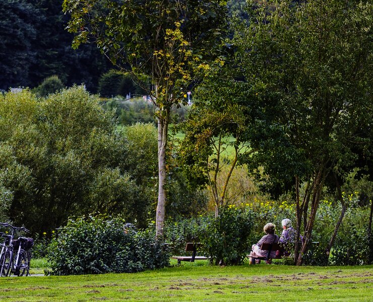 Am Moselufer in Zeltingen