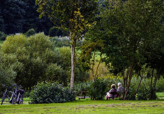 Am Moselufer in Zeltingen