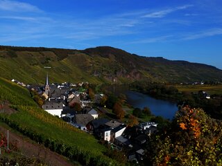 Wandern durch die Weinberge von Ürzig