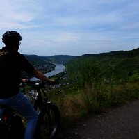 Radfahren inmitten der Weinberge