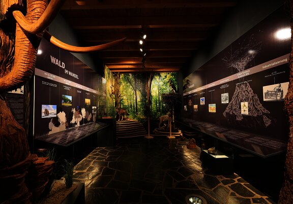 Das BIld zeigt den ersten Austellungsraum des Hunsrücker Holzmuseum. In dem Raum geht es um den Wald. Infotafeln an der Wannd vermitteln Wissen.