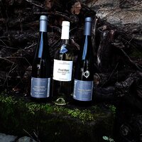 Weine Weingut Schneider-Kettern