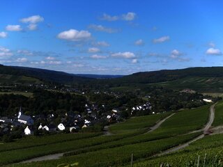 Weinort Maring-Noviand