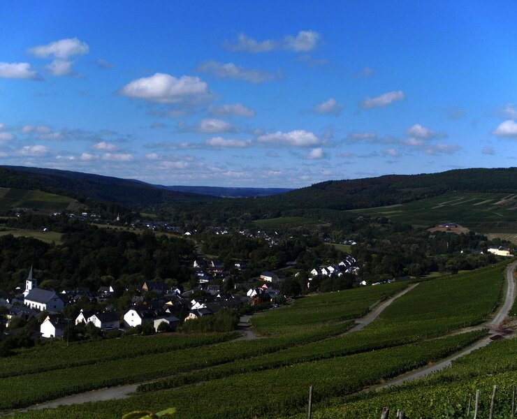 Weinort Maring-Noviand