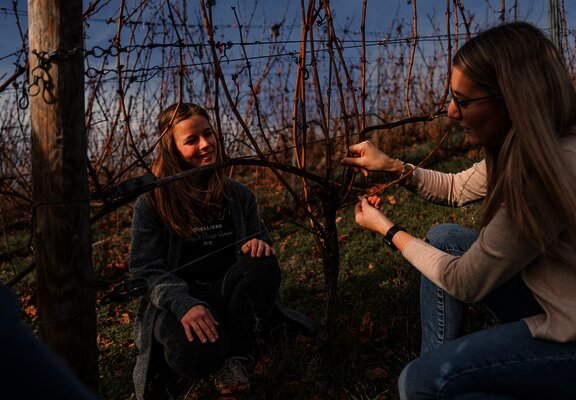 Weinprobenspaziergang im Weinberg