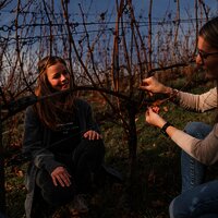 Weinprobenspaziergang im Weinberg