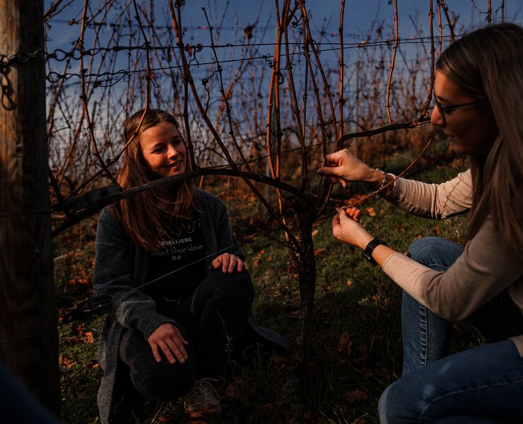 Weinprobenspaziergang im Weinberg