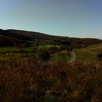 Oestelbachtal Richtung Klausen