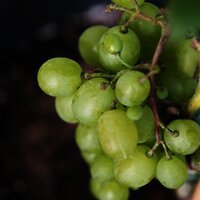 allgemein_DSC_3680_f