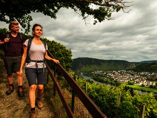 Ausblick vom Moselsteig am Schlossberg auf die Mosel und Kobern