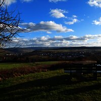 Rastplatz am Themenweg "Eidechse auf Moselsuche"