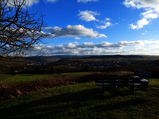 Rastplatz am Themenweg "Eidechse auf Moselsuche"