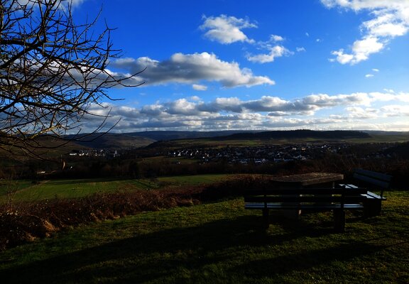 Rastplatz am Themenweg "Eidechse auf Moselsuche"