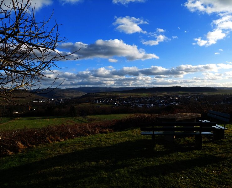 Rastplatz am Themenweg "Eidechse auf Moselsuche"