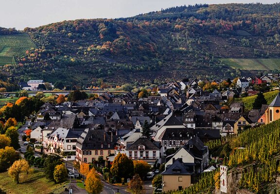 Moseldorf Zeltingen-Rachtig