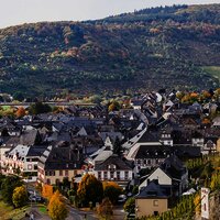 Moseldorf Zeltingen-Rachtig