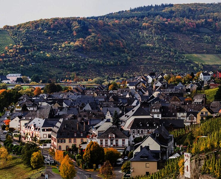 Moseldorf Zeltingen-Rachtig