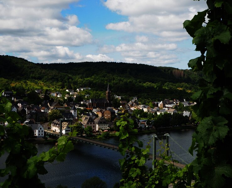 Ausblick auf Wehlen und die Hängebrücke