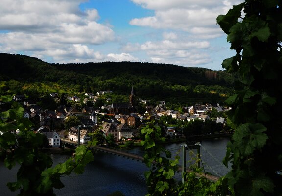 Ausblick auf Wehlen und die Hängebrücke