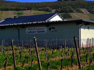 Weingut Lehnert-Später