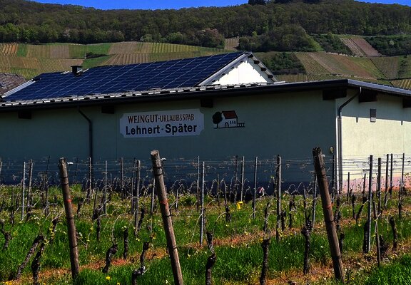 Weingut Lehnert-Später