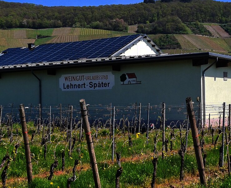 Weingut Lehnert-Später