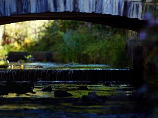 Burgen im Ferienland