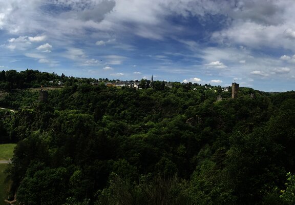 Das Bild zeigt eine grüne Waldlandschaft um die Manderscheider Burgen.