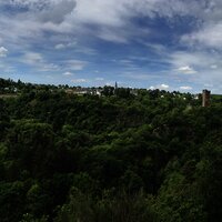 Das Bild zeigt eine grüne Waldlandschaft um die Manderscheider Burgen.