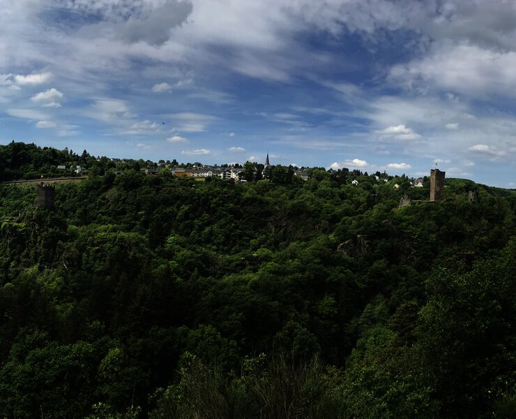 Das Bild zeigt eine grüne Waldlandschaft um die Manderscheider Burgen.