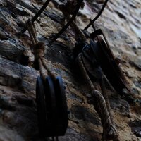 allgemein_DSC_3647_f