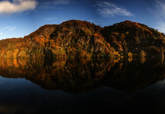 Moselloreley im Herbst
