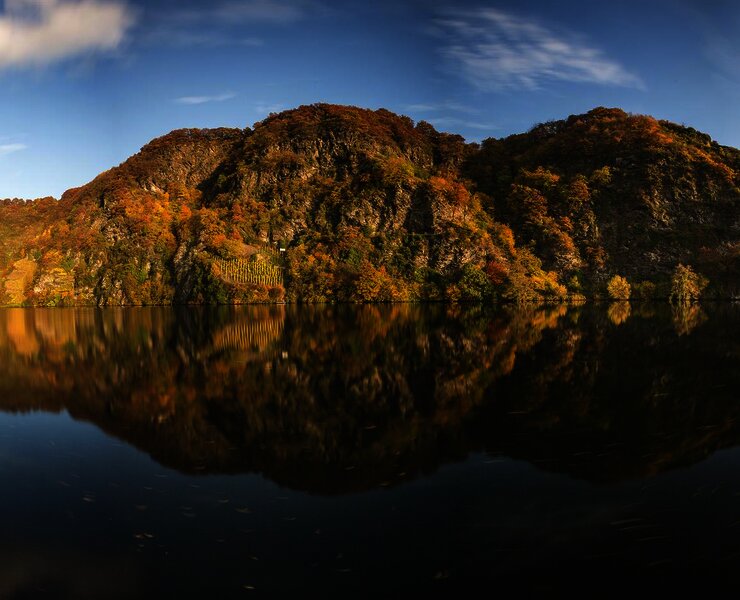 Moselloreley im Herbst