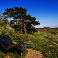 Liegebank am Moselsteig im Naturschutzgebiet Hammelsberg (ein geschütztes Orchideengebiet) in Perl