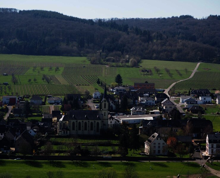 Pfarrkirche St. Vitus