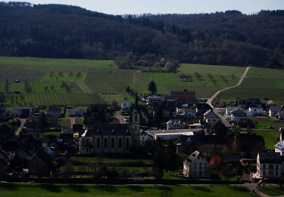 Pfarrkirche St. Vitus