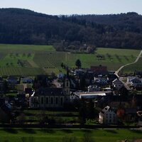 Pfarrkirche St. Vitus