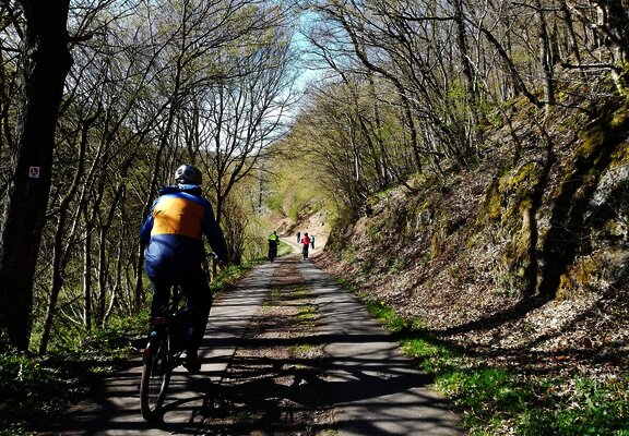 Radweg am Lützbach entlang