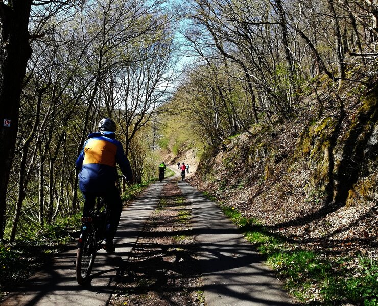 Radweg am Lützbach entlang